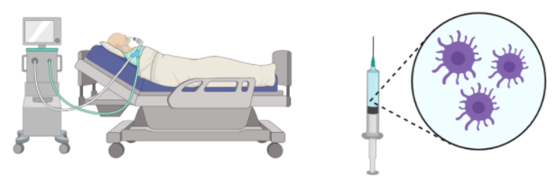 Icons illustrating good hygiene practices like hand washing
