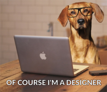 Dog using a laptop computer